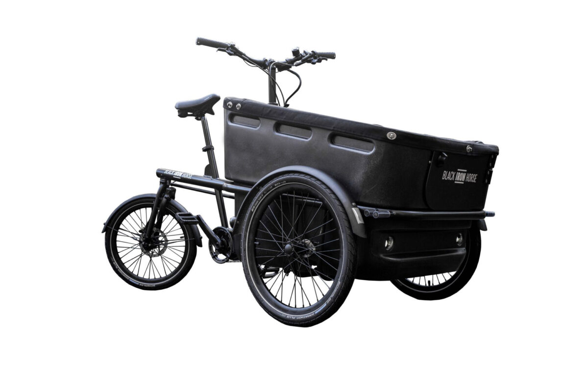 Black Iron Horse PONY 2 Dog Elektrische bakfiets White-L1008557-1