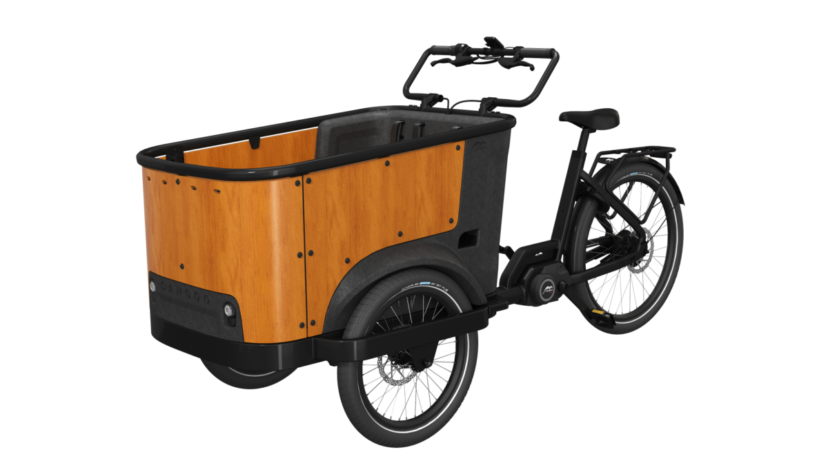 Cangoo BUCKLE UP Elektrische bakfiets met ondersteuning cargo bakfiets een sterke motor