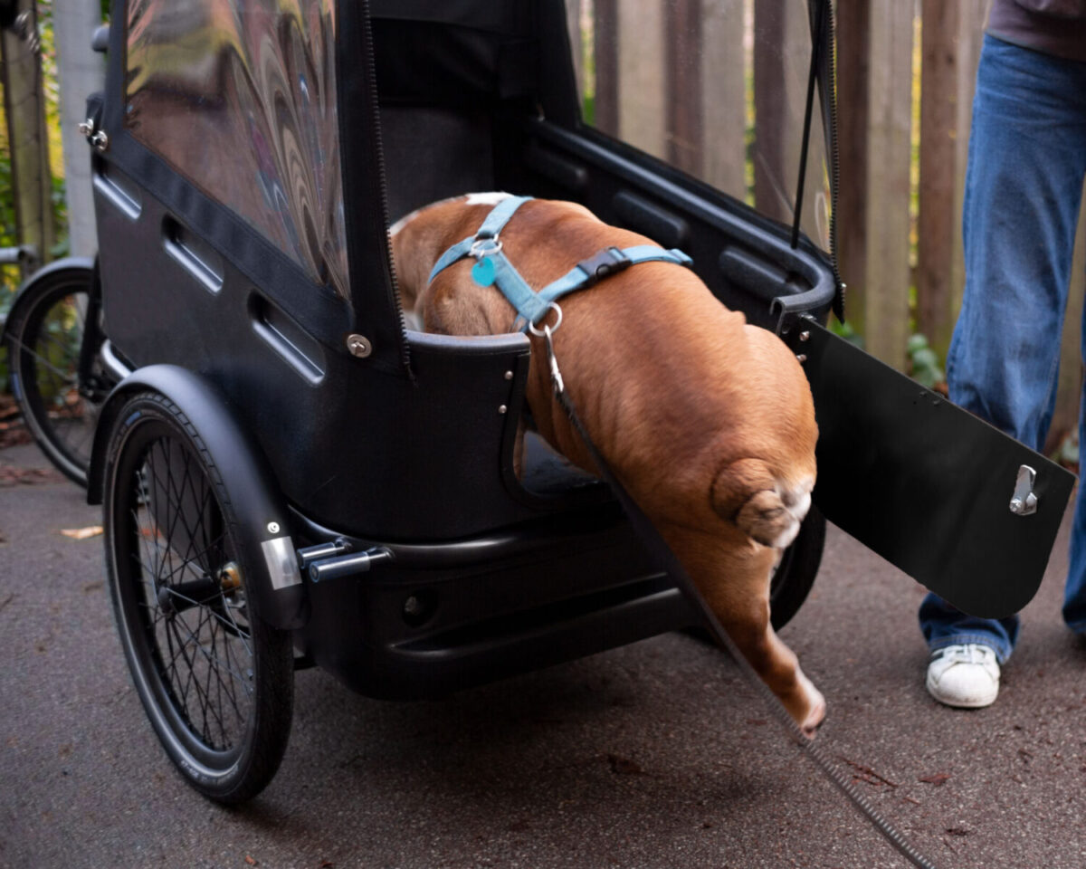 Black Iron Horse PONY 2 Dog Elektrische bakfiets White-