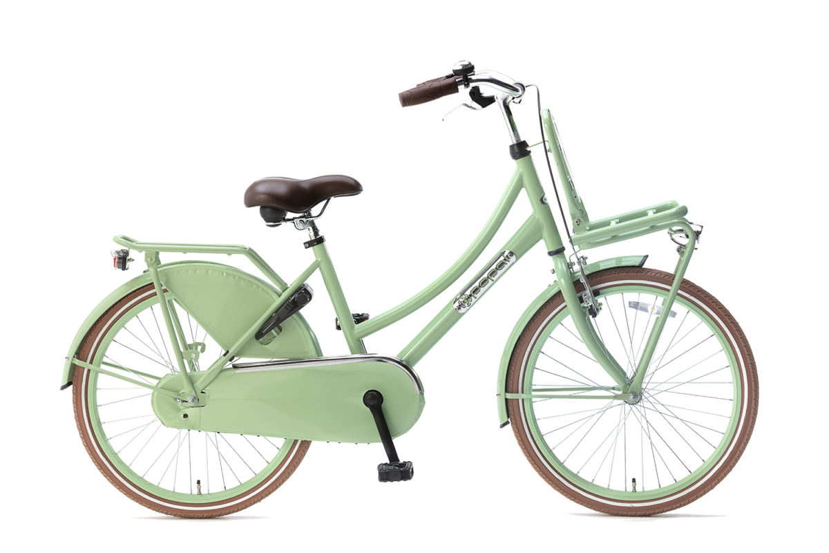 Popal Daily Dutch Basic 22 inch pistasche groen meisjesfiets 24 inch