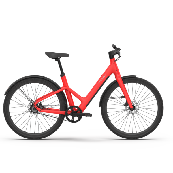 Eigenschappen van de REANY Bike W1 Heartbeat Red